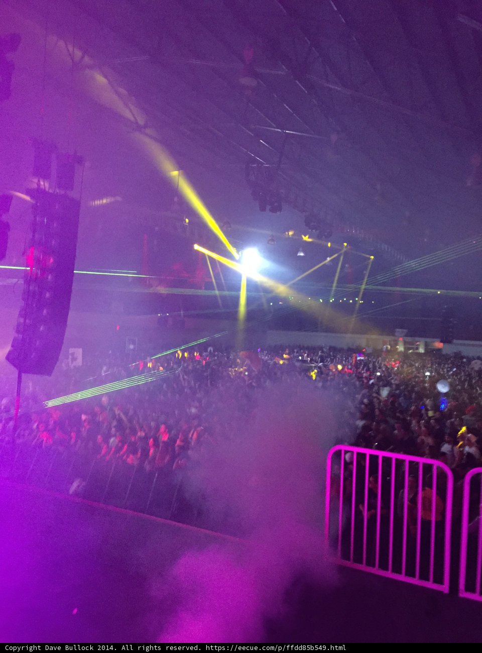 Purple Haze: An Electric Nightclub Concert Scene