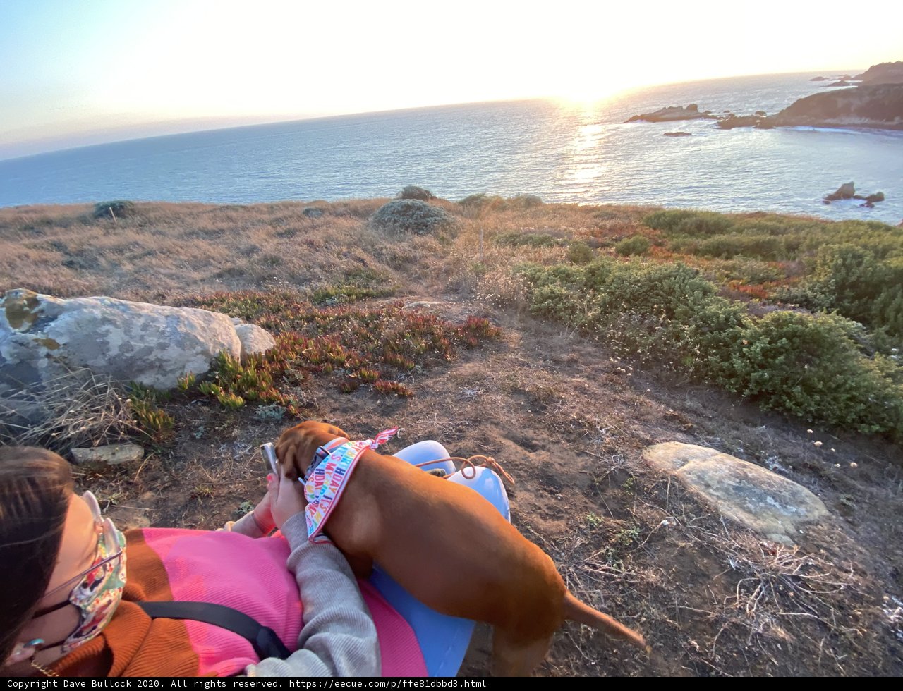 Rocky Coastal Bliss