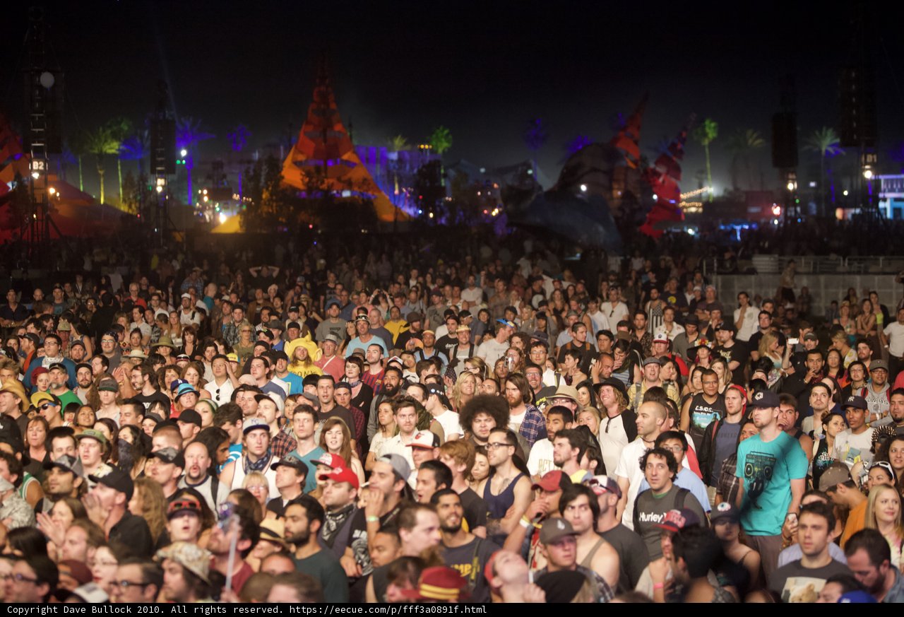 Coachella Nights