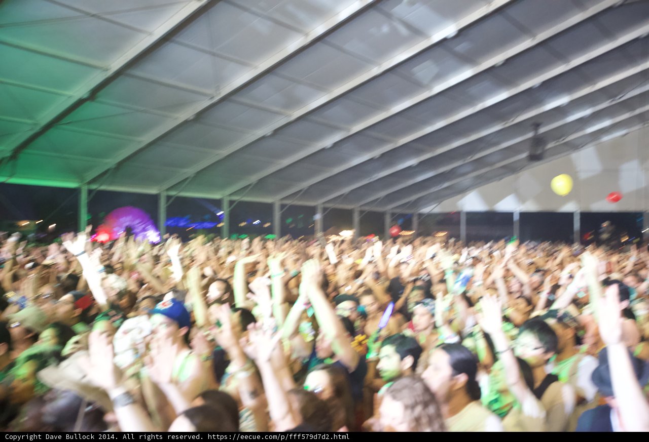 Electric Crowd