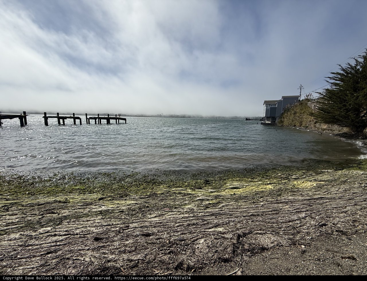 Tranquil Moments at Bodega Bay