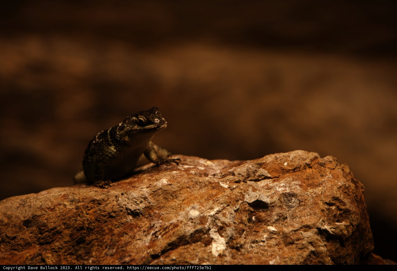 Basking in the Spotlight
