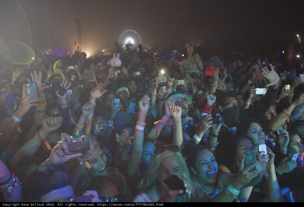 Urban Jewelry Accessories in a Concert Crowd