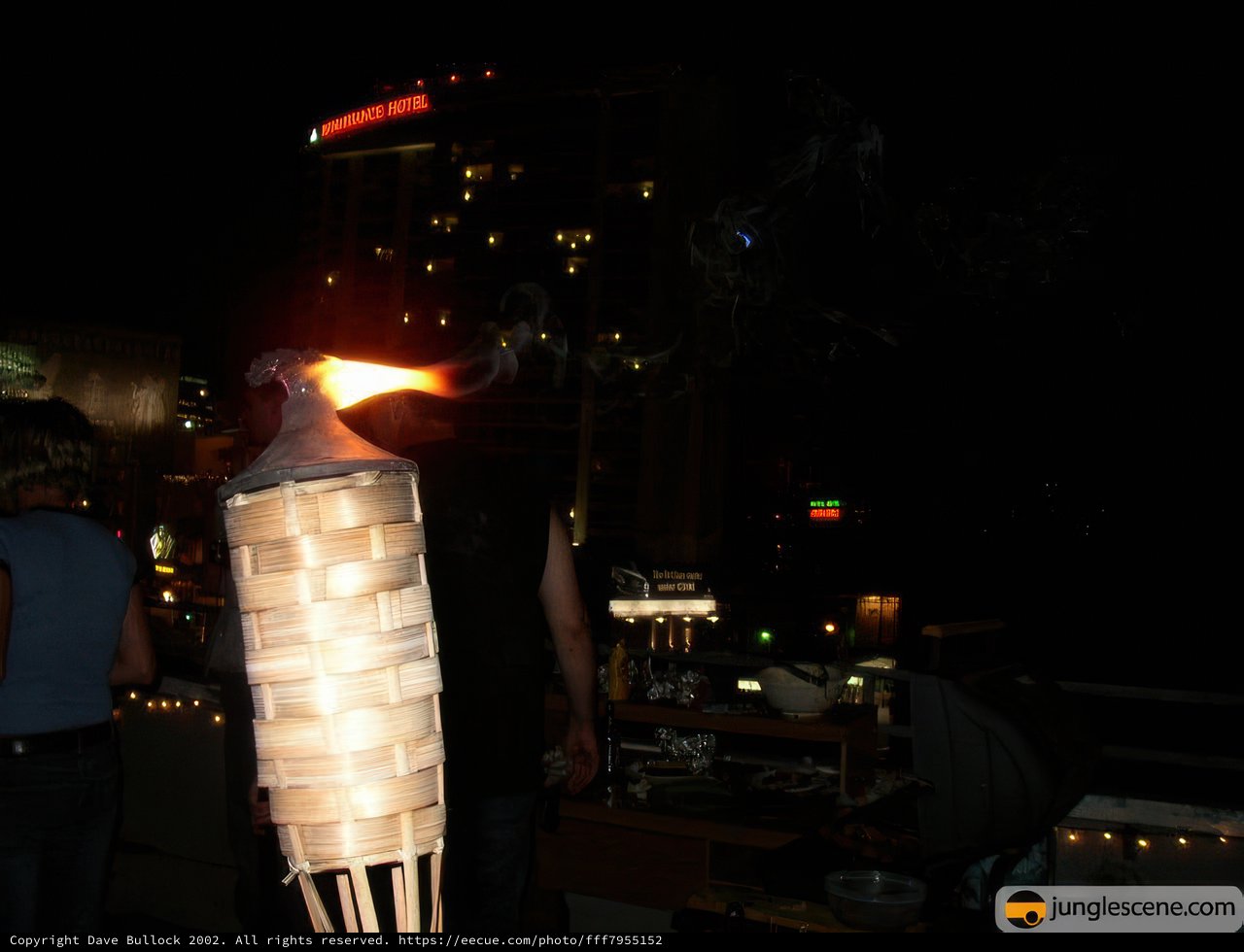 Patriotic Flame