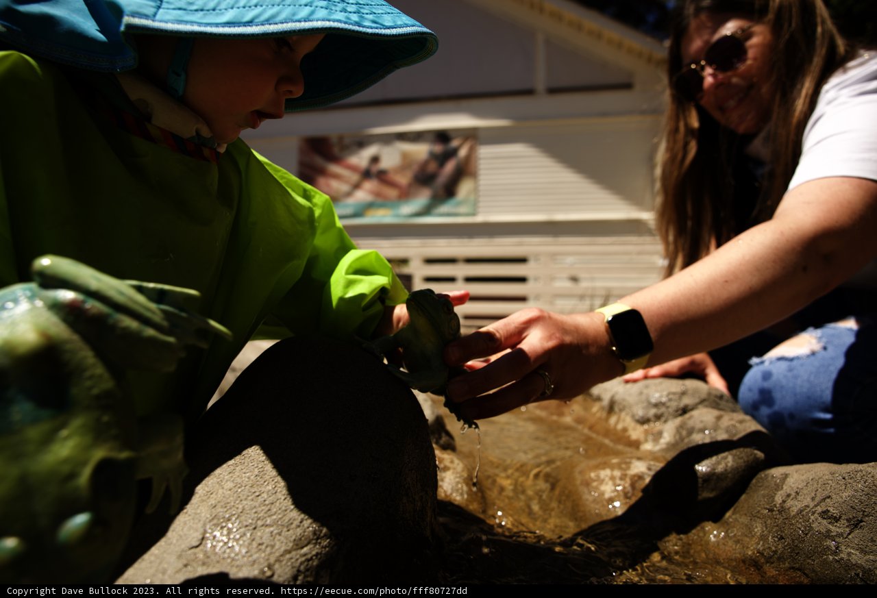 Ripples of Joy: A Moment of Play in the Stream