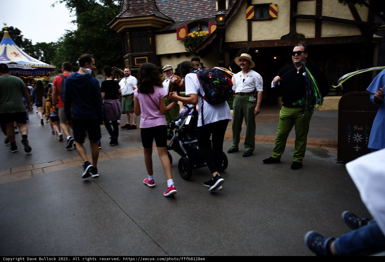 Magical Moments at Disneyland Park