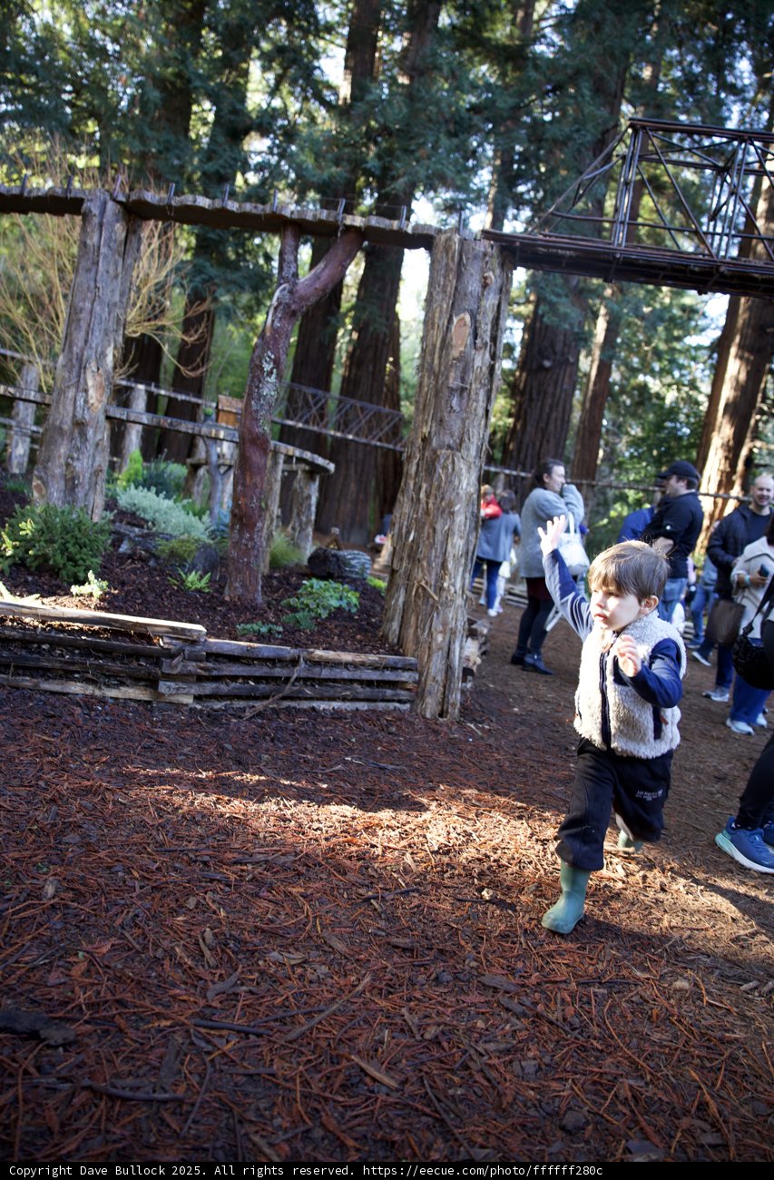 Exploring the Woodland Wonders