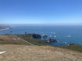 Overlooking the Serene Ocean from the Top of the Hill