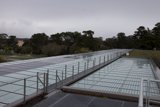 Green Roof with a View