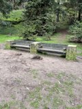 Solitude in the Park
