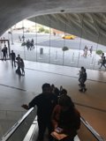 Escalating Departures