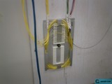 Electrical Panel with Wiring