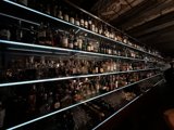 Boozing up in a Zurichian bar