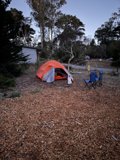 Embracing Nature in San Francisco