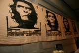 Four Ape Faces on a Banner