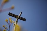Blossoming Street Sign