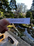 Fortune Cookie in the Japanese Tea Garden