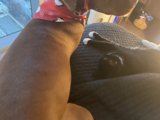 Furry Friends on the Couch