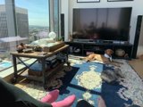 Furry Friends and Entertainment Center in Los Angeles Home