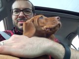 Man and his furry friend on a scenic drive