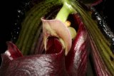 Up close and personal with a beautiful flower