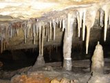 Frozen Oasis