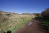 The Road Less Traveled: Solitary Walk 2024