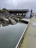Docked Boat in Scenic Richardson Bay