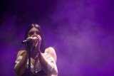 Purple Haze Solo