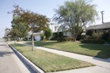 Suburban Serenity
