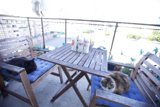 Feline Festivities on the Balcony