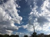 Skyline over Utility Poles