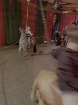 Medieval Castle Dungeon Performance Scene