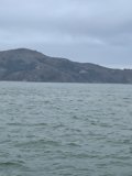 Serene Boat Ride with a Scenic View