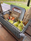A Picnic Feast in Scribe