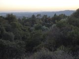 Majestic View of the City from Hilltop