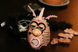 Owl on the Table
