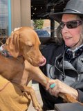 Black Hat Lady with Vizsla by the Car