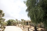 Summer Villa with Tree-lined Pathway