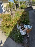 Garden Adventures in Sebastopol