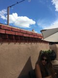 Relaxing Under the Umbrella