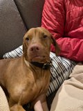 Relaxing on the Couch