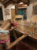 Happy Hour Hound
