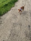 Running Free