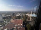 A Bird's Eye View of the Metropolis