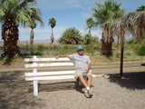 Desert Oasis Rest Stop with Palm Trees