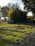 An afternoon in the grassy field