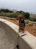 Out for a Walk