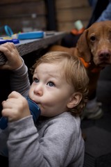 Child and Therapy Dog Share Tender Moment During Session