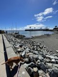Leisurely Walk Along the Shoreline